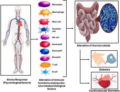 Prospecting the theragnostic potential of the psycho-neuro-endocrinological perturbation of the gut-brain-immune axis for improving cardiovascular diseases outcomes